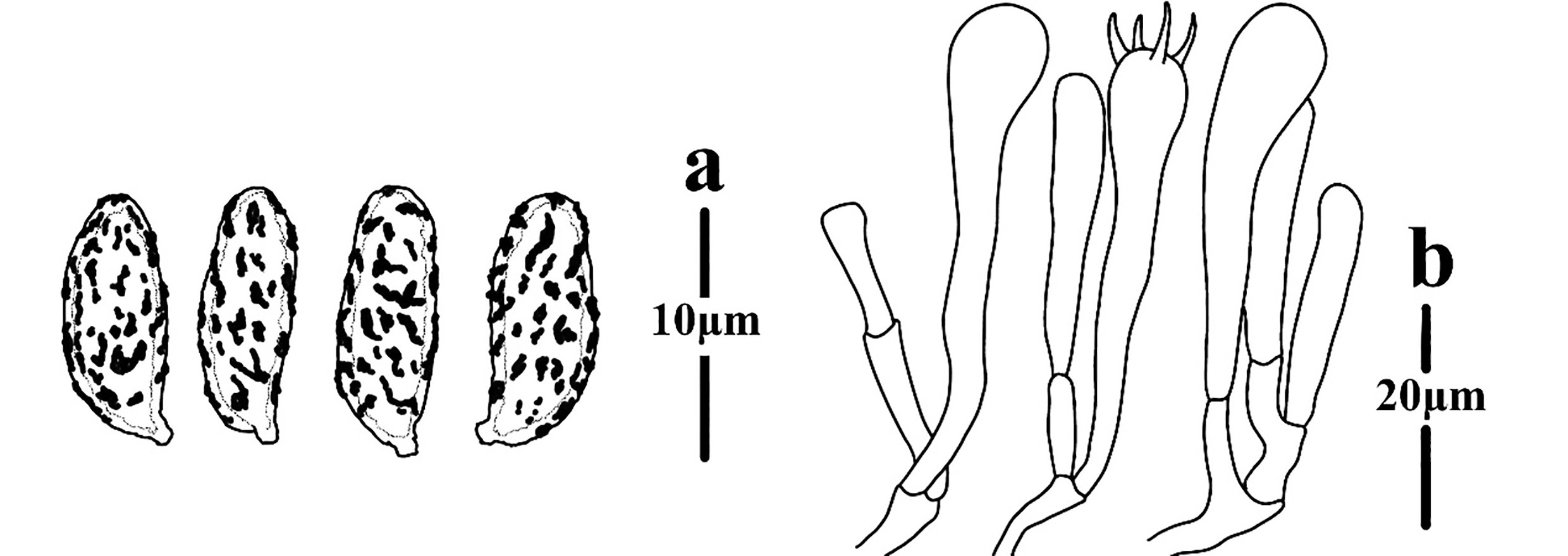 Figure 92